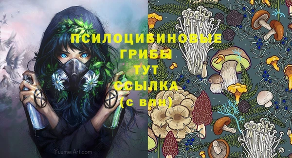 стафф Алексеевка